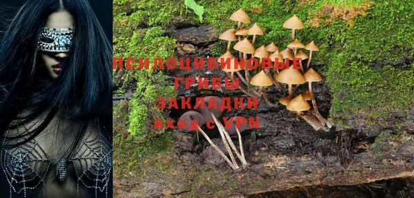 гашишное масло Покачи