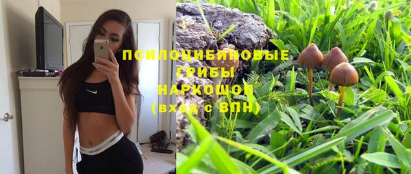 а пвп мука Армянск