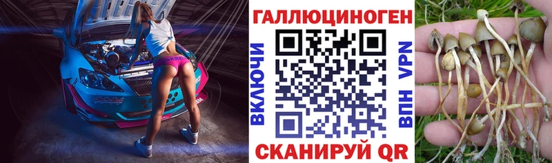 darknet состав  omg tor  Семёнов  Псилоцибиновые грибы Cubensis 